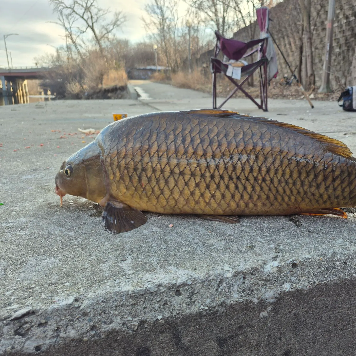 recently logged catches