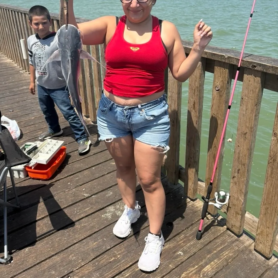 Fish caught on Fishbrain
