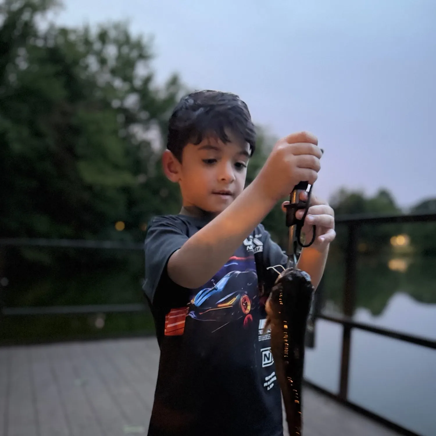 American eel caught on Fishbrain