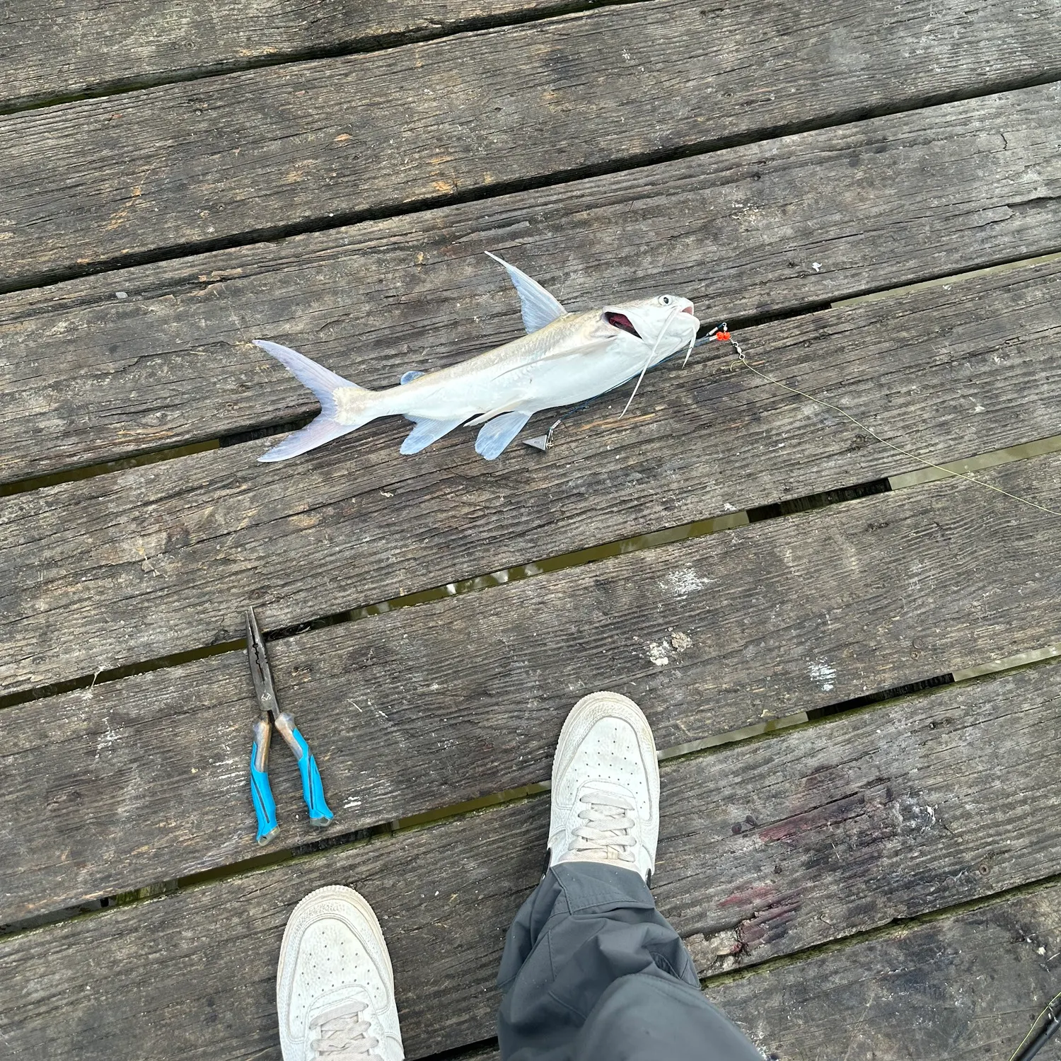 catch