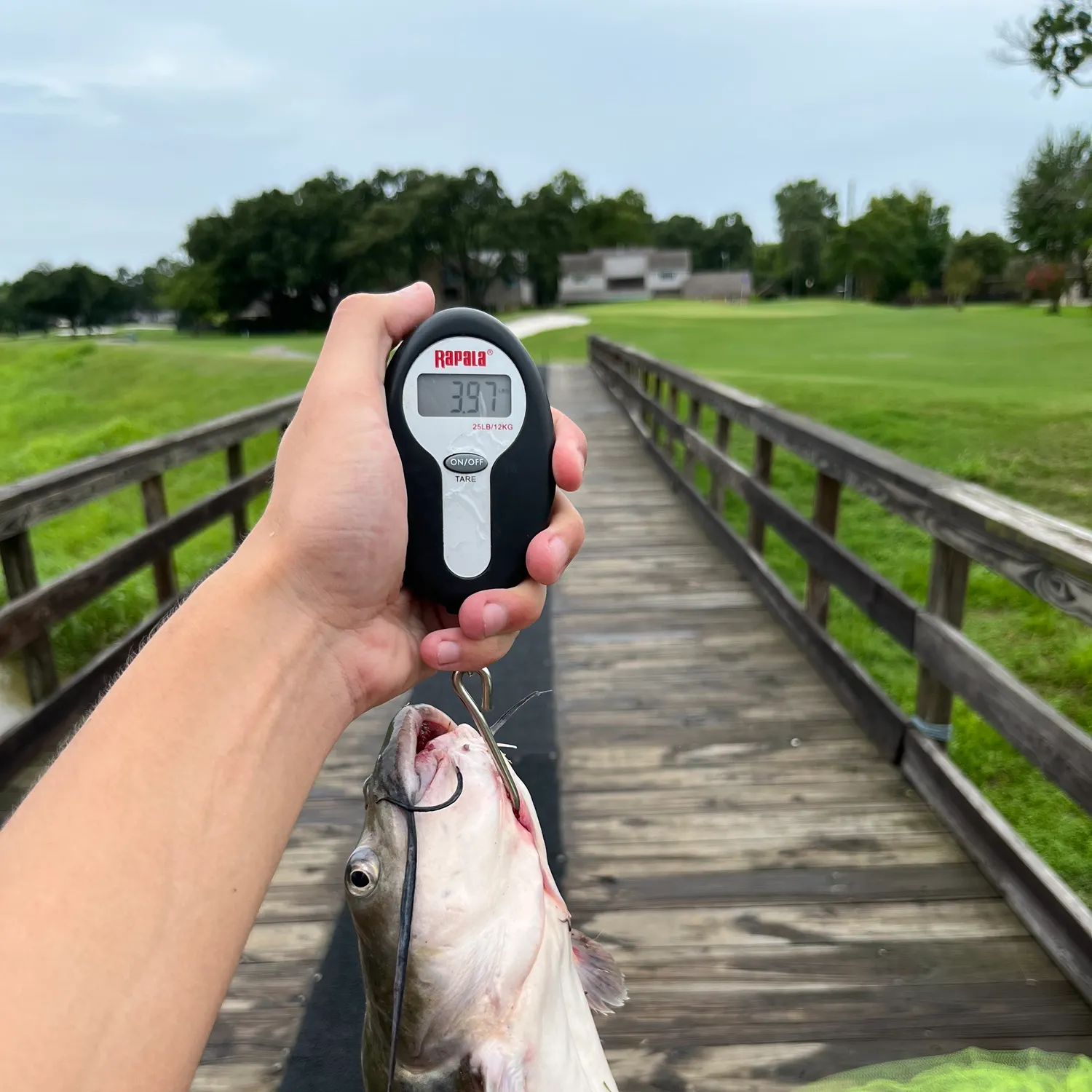 catch