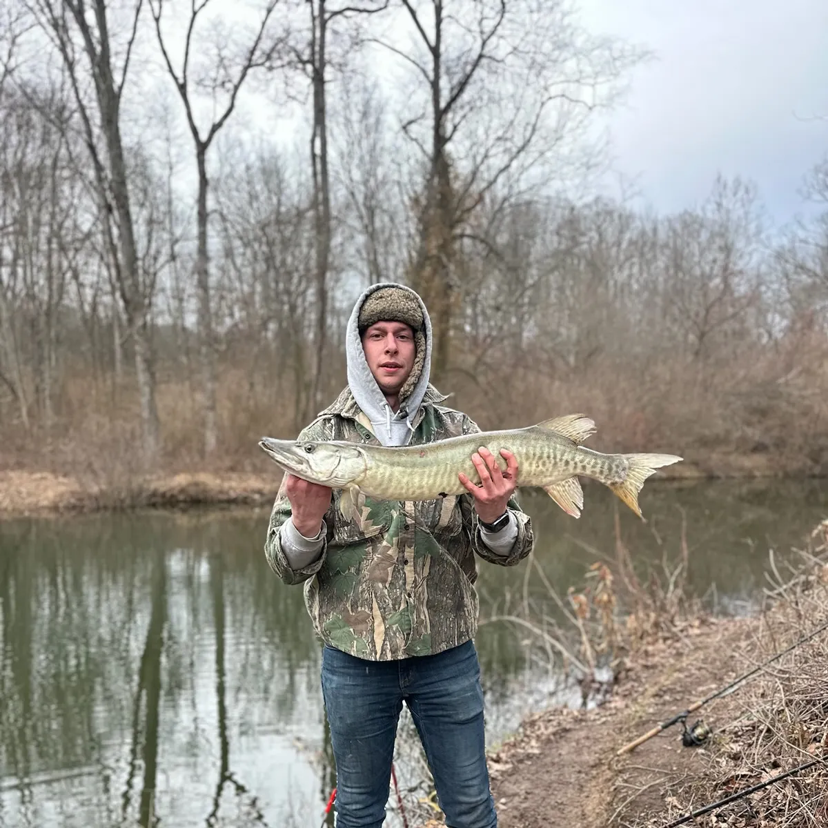 most liked catch image