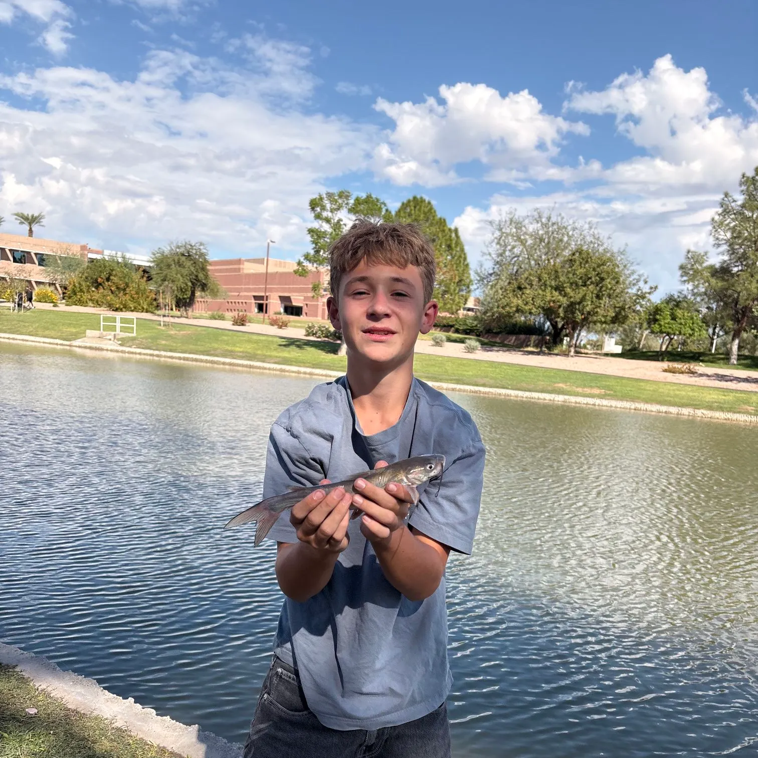Channel catfish caught on Fishbrain