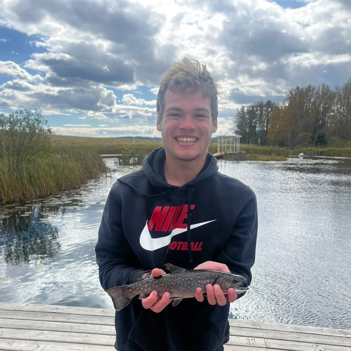 Brook trout caught on Fishbrain