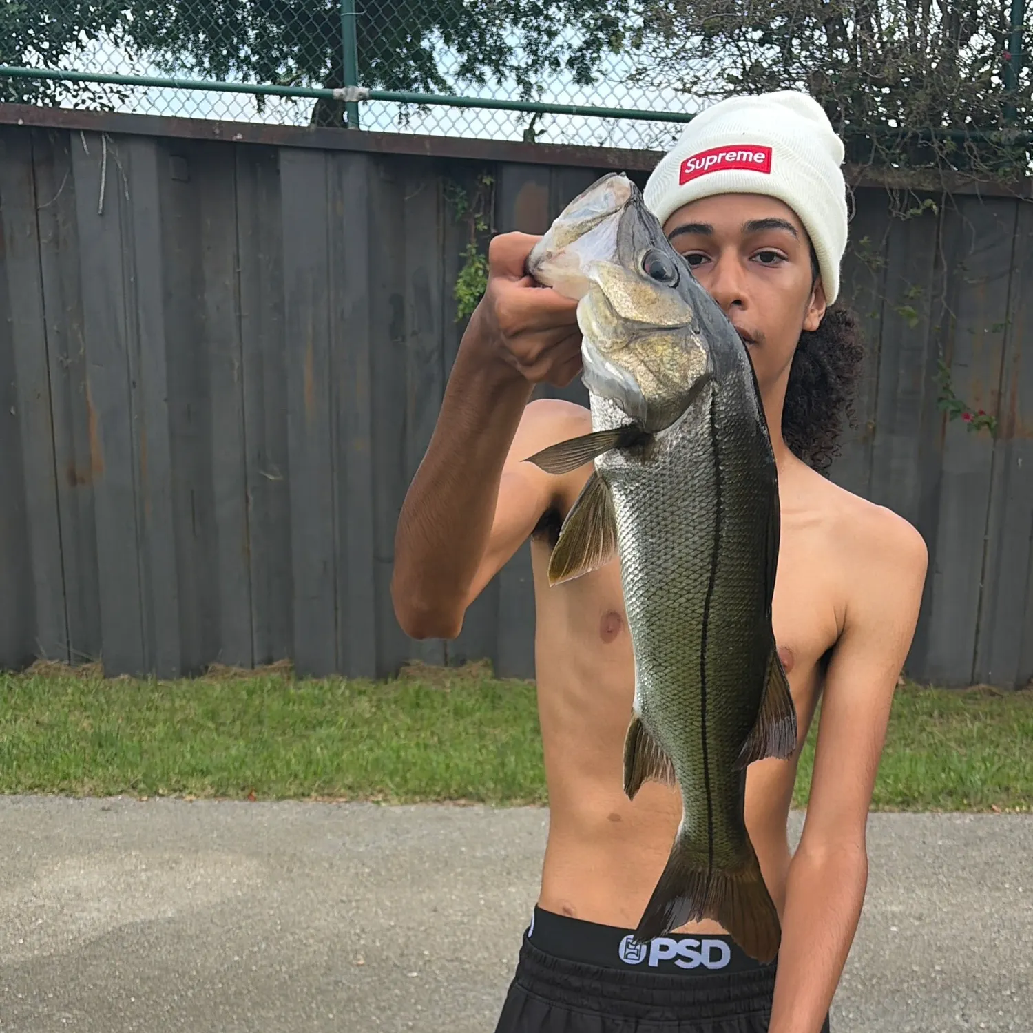 The most recent Tarpon Snook catches on Fishbrain