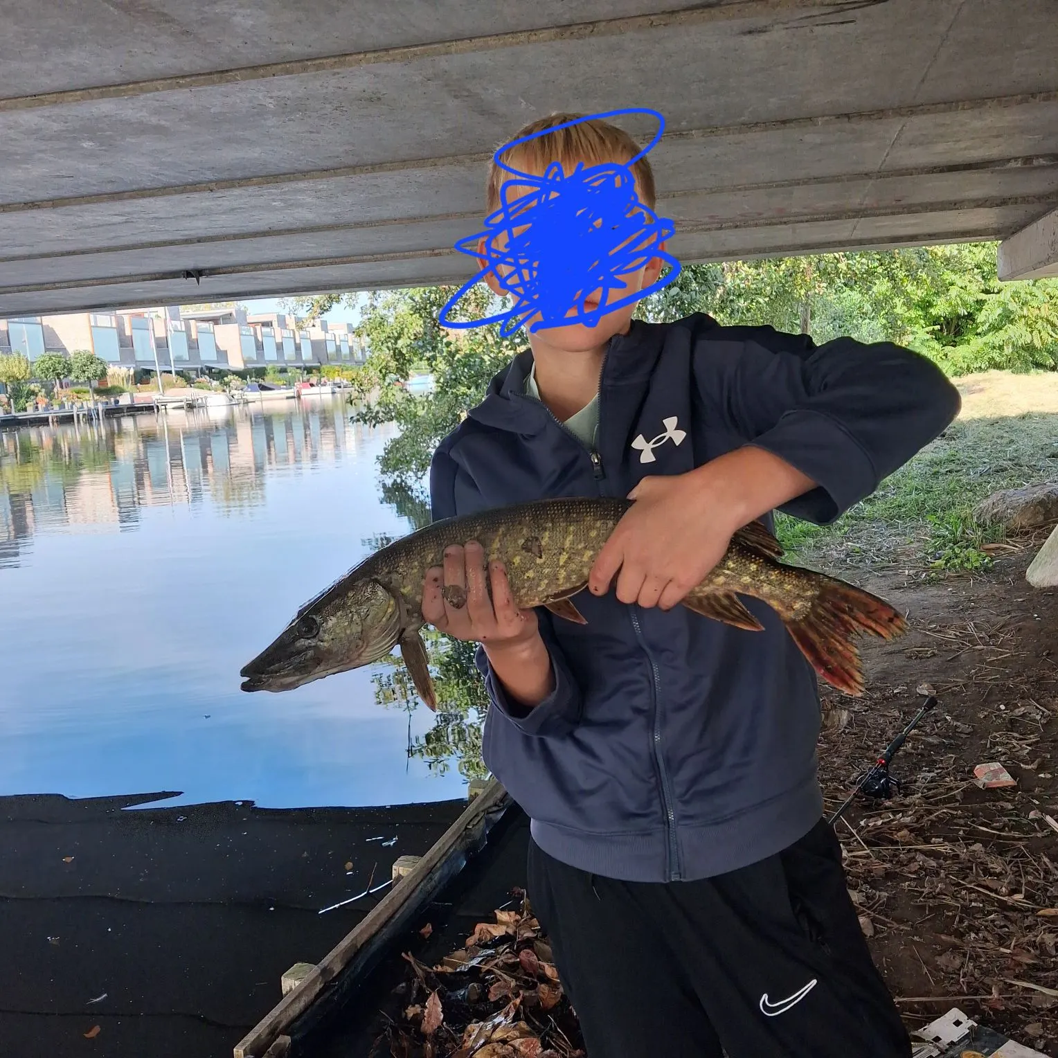 Northern pike caught on Fishbrain