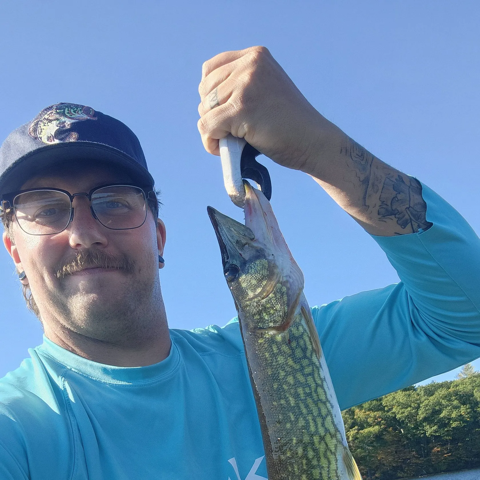 Chain pickerel caught on Fishbrain