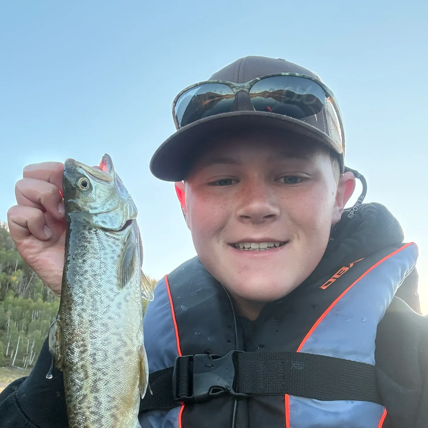 Tiger trout caught on Fishbrain