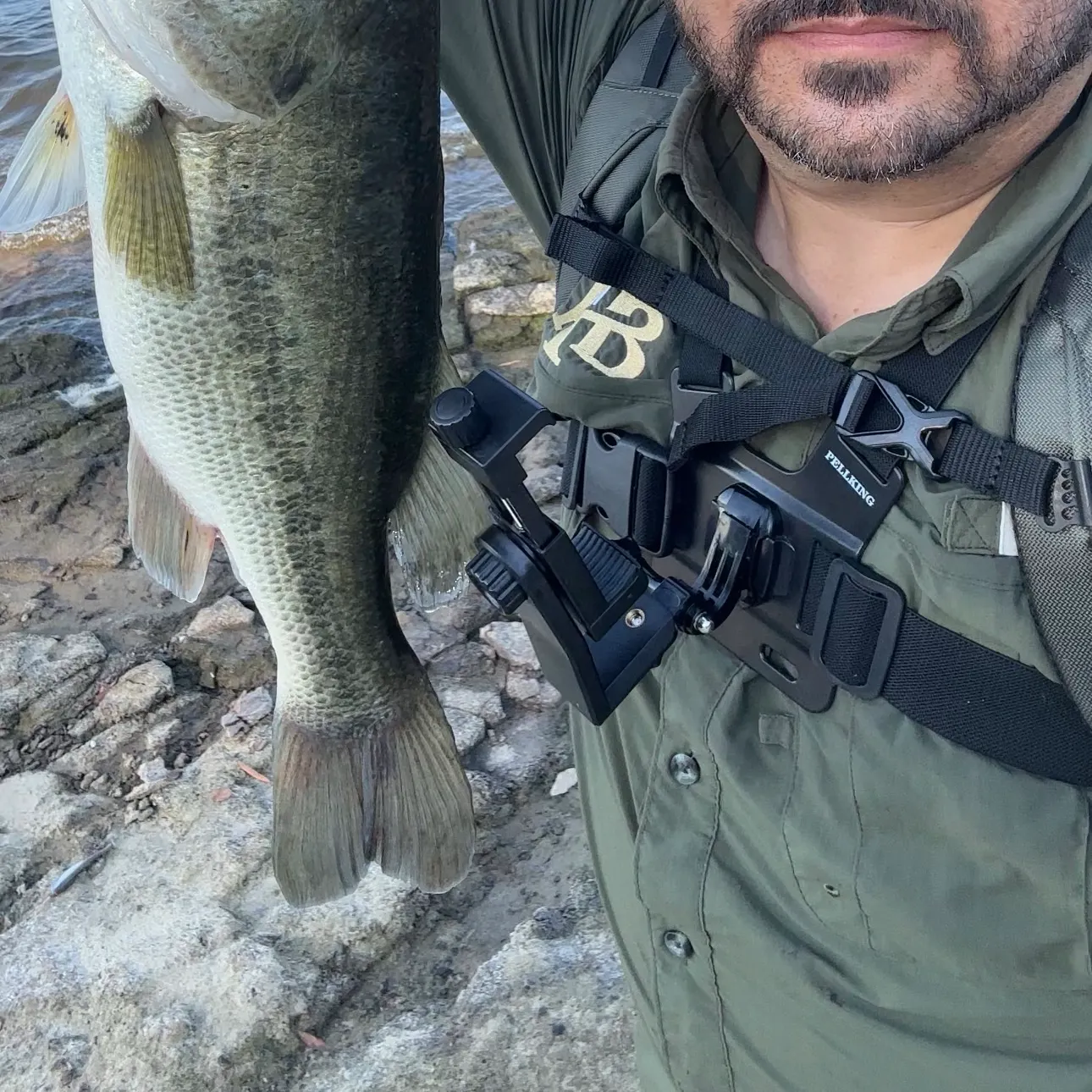 Largemouth bass caught on Fishbrain
