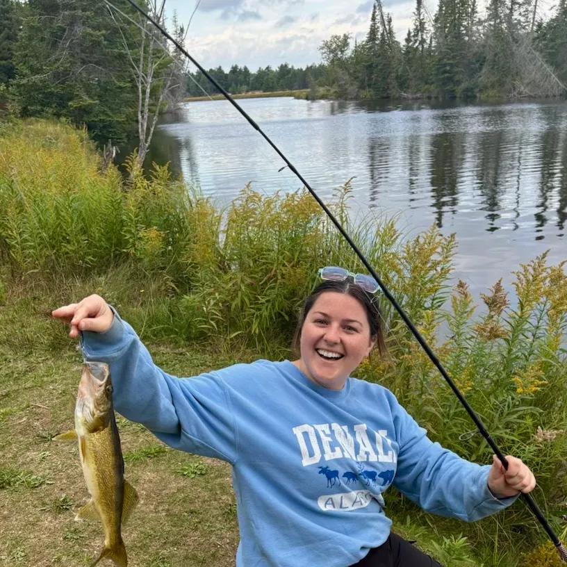 Walleye caught on Fishbrain