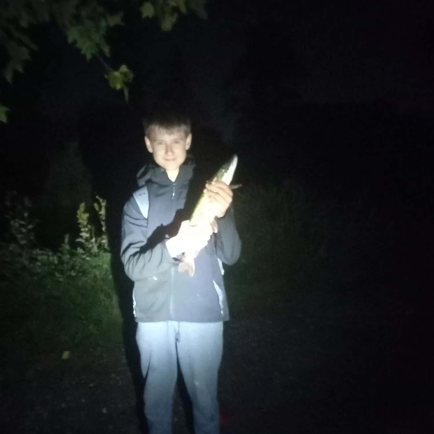 Northern pike caught on Fishbrain