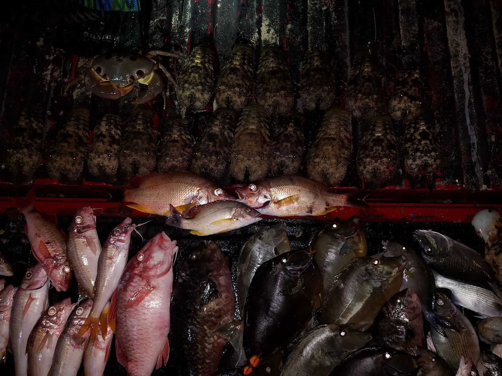 Post image from kaiakahele