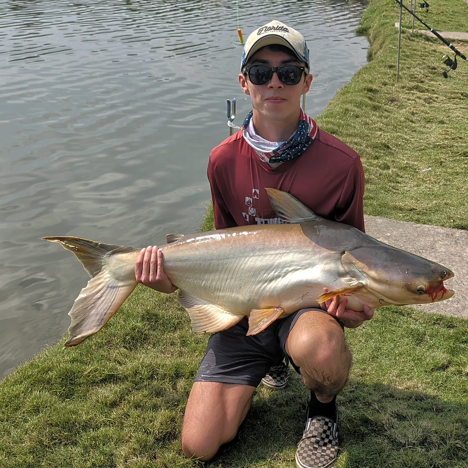 The most recent Mekong giant catfish catches on Fishbrain