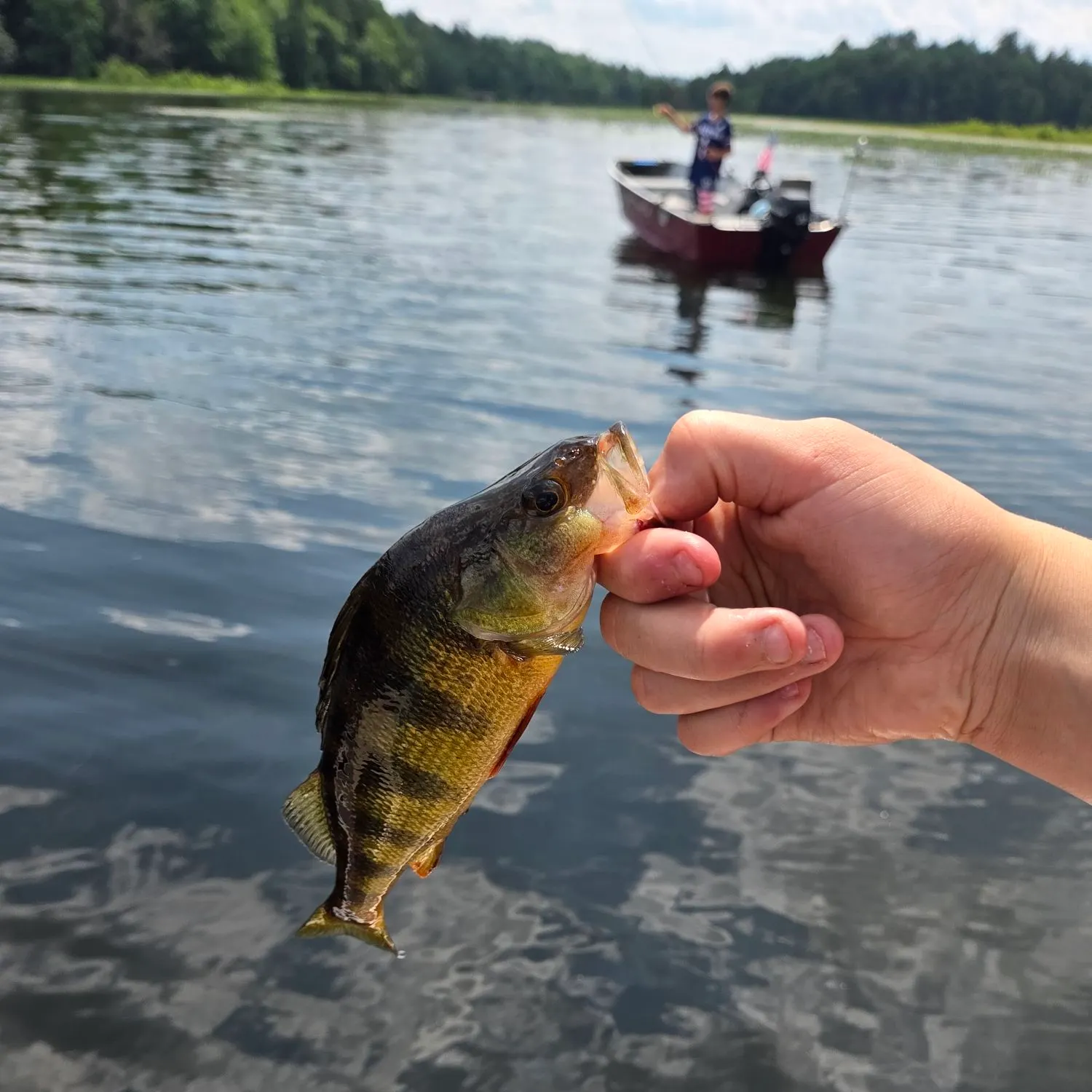 catch
