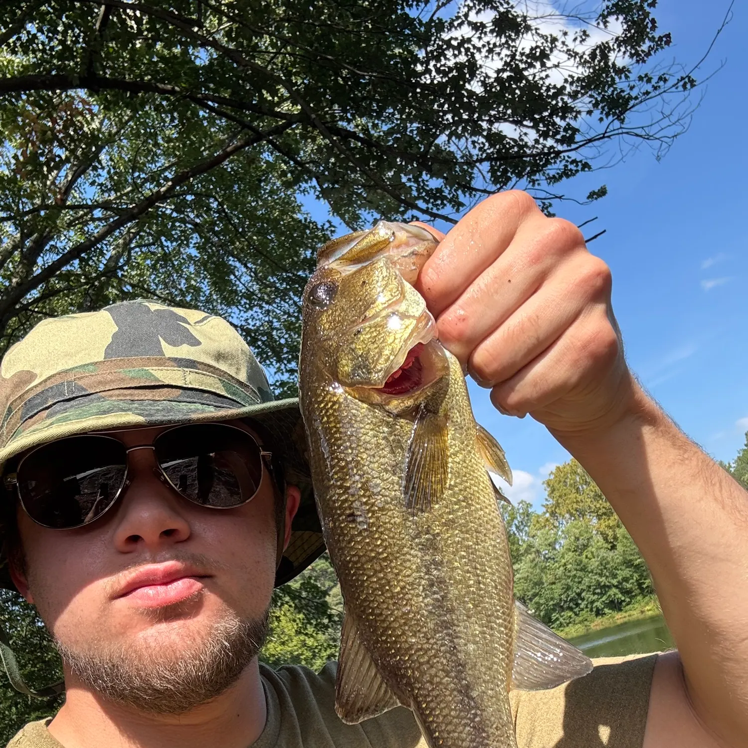Largemouth bass caught on Fishbrain