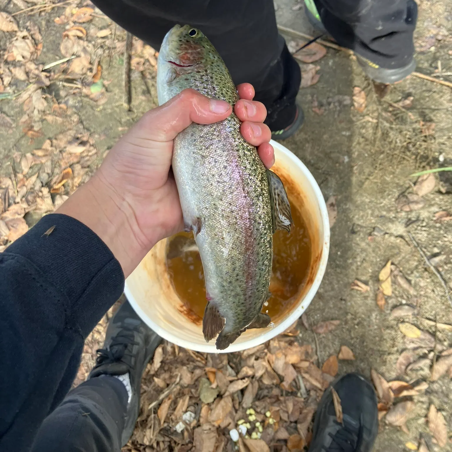 catch