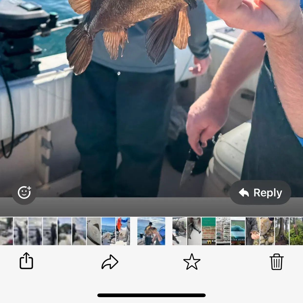 recently logged catches