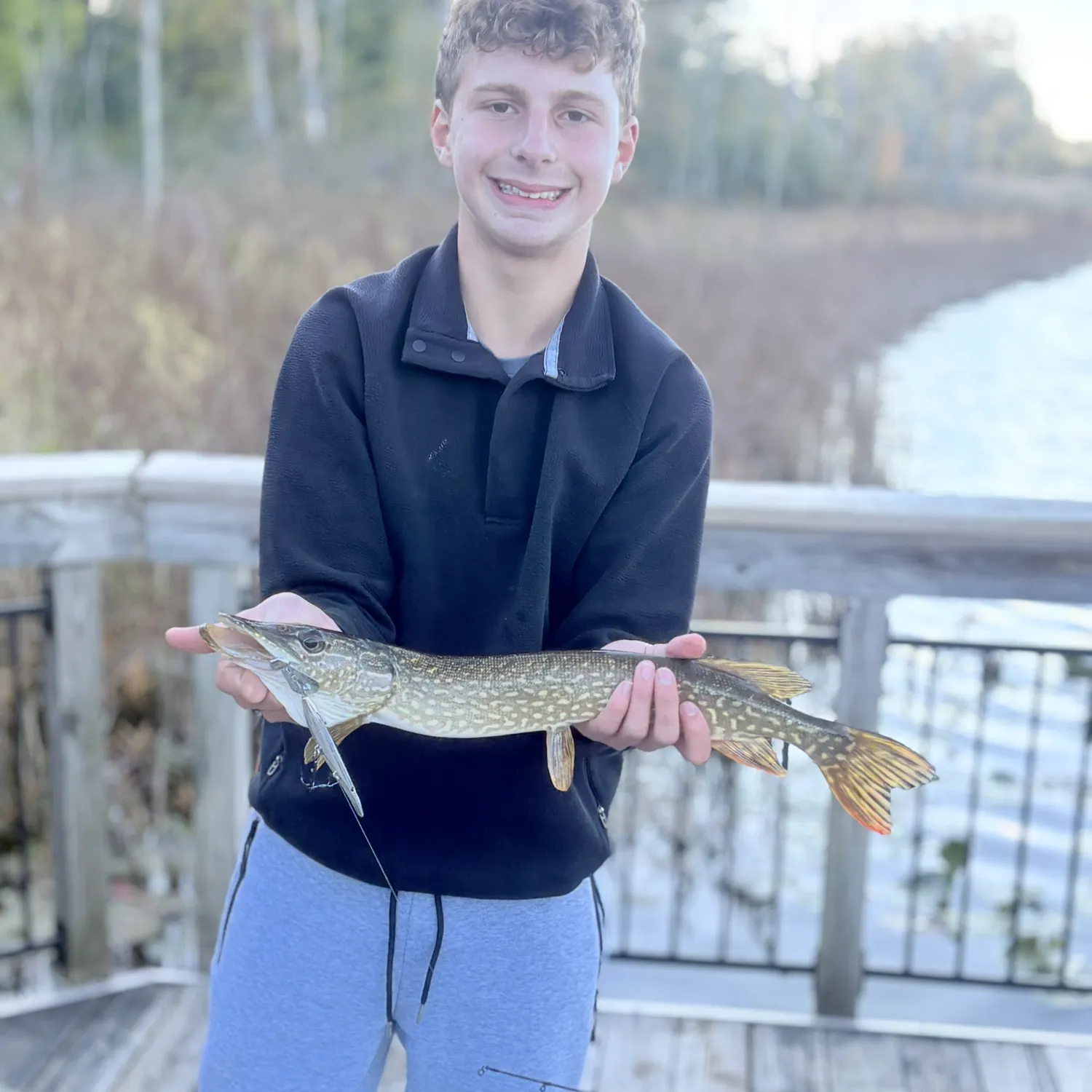 Northern pike caught on Fishbrain