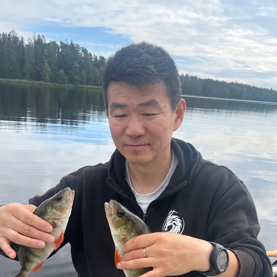European perch caught on Fishbrain