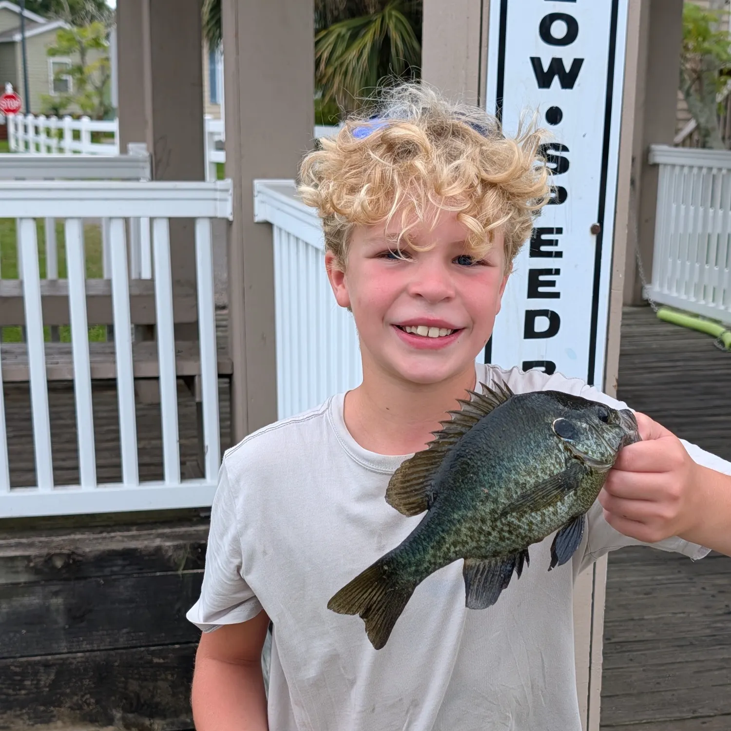 Greengill hybrid caught on Fishbrain