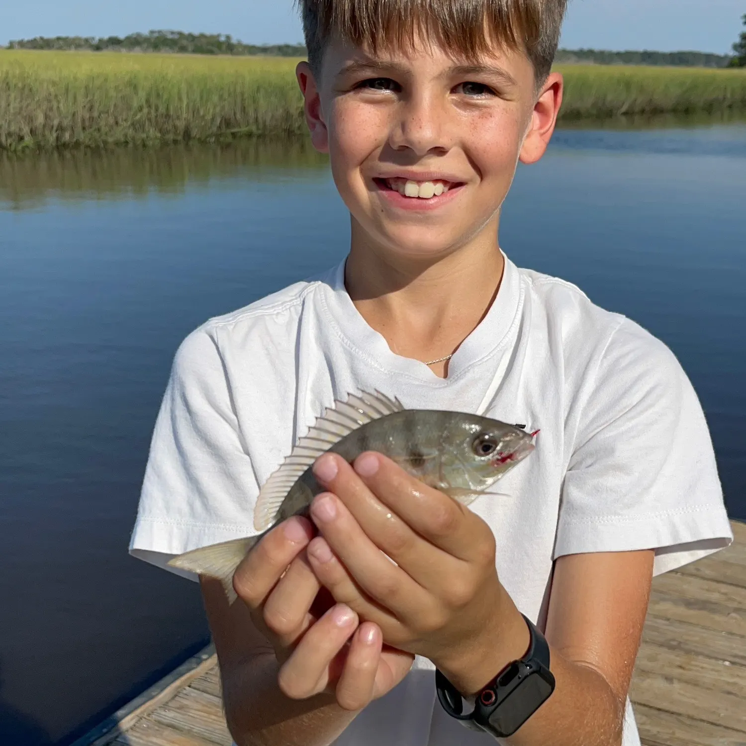 The most recent Spottail seabream catches on Fishbrain
