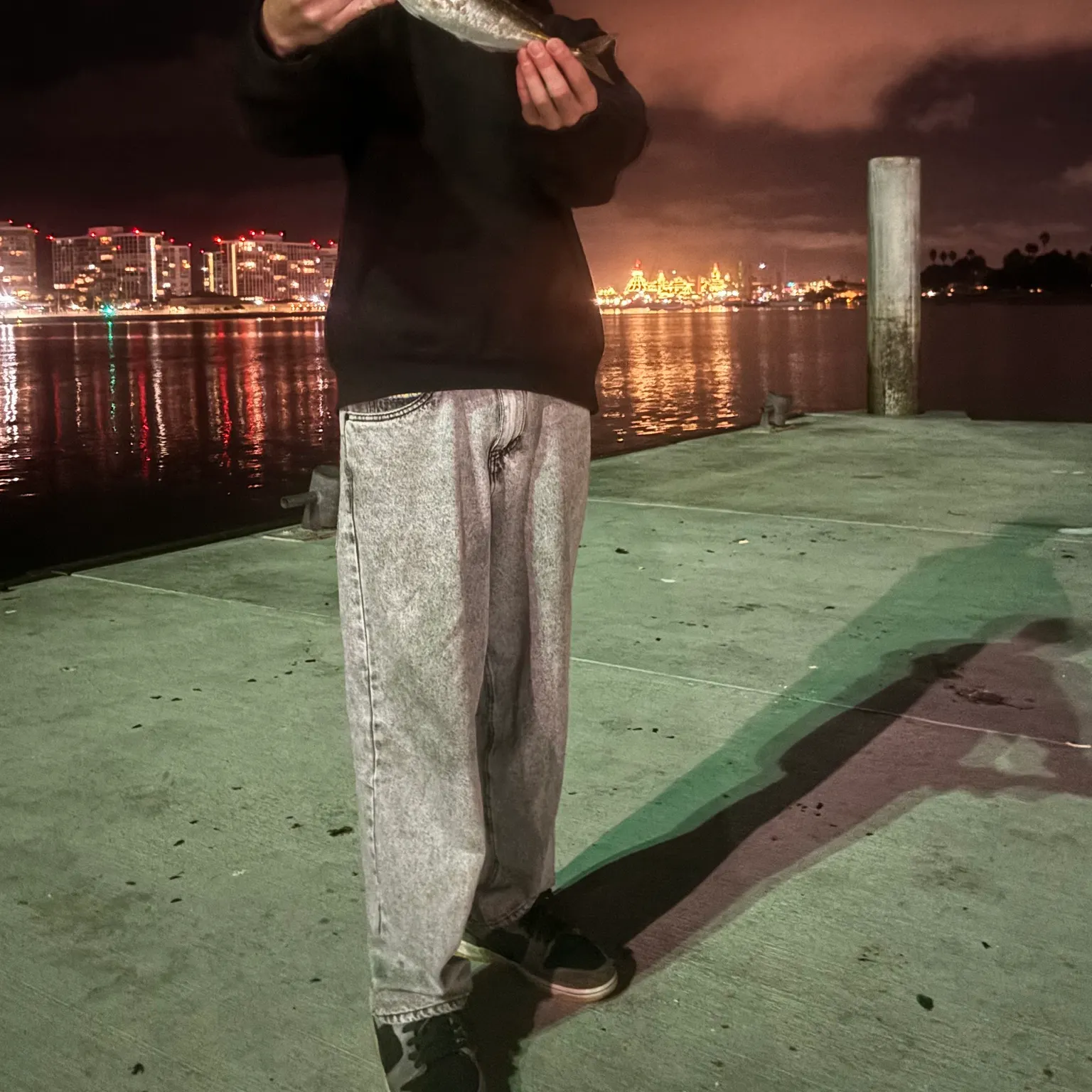 The most recent Pacific jack mackerel catches on Fishbrain