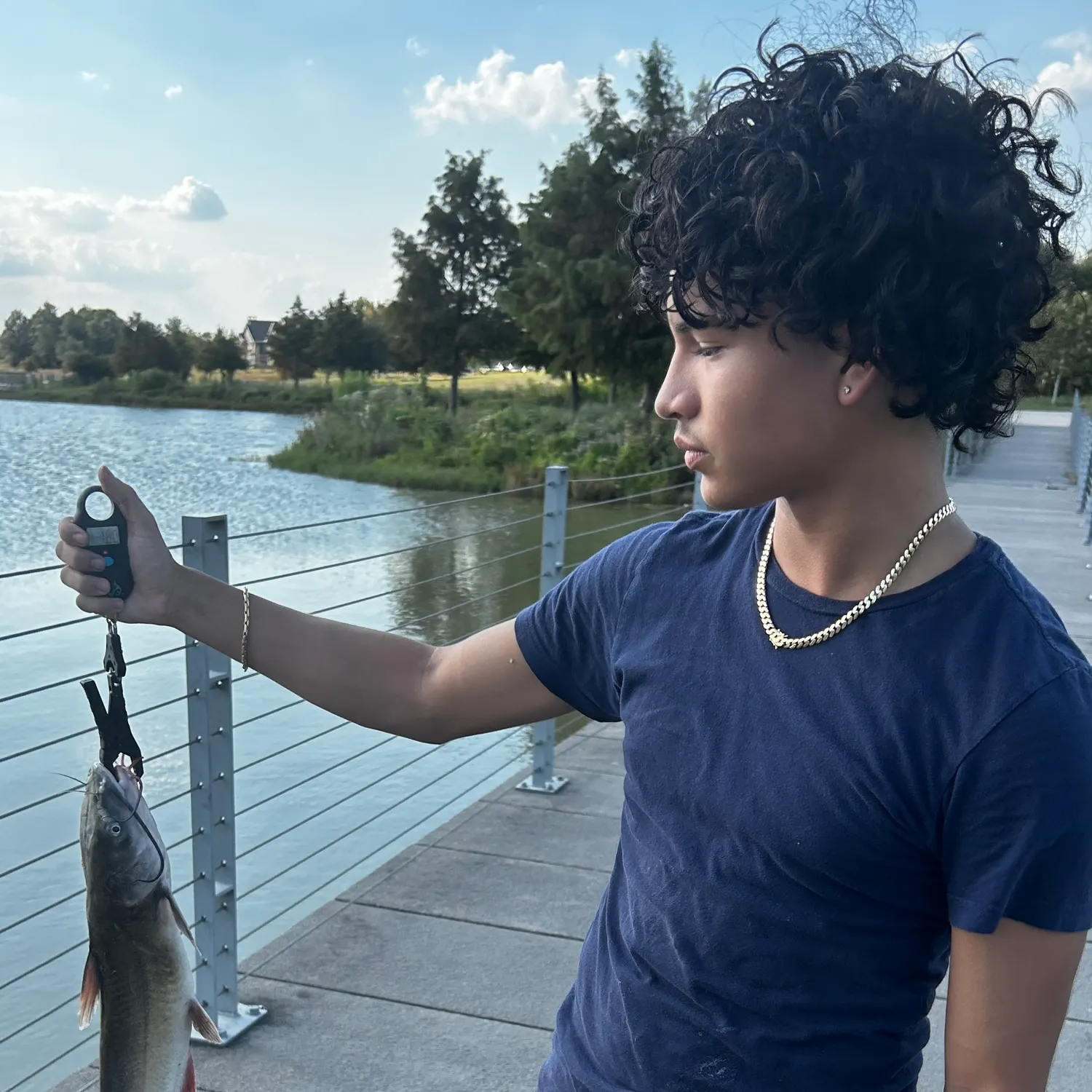 Channel catfish caught on Fishbrain