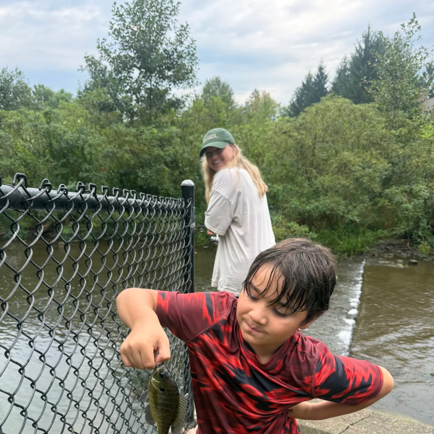 Bluegill caught on Fishbrain