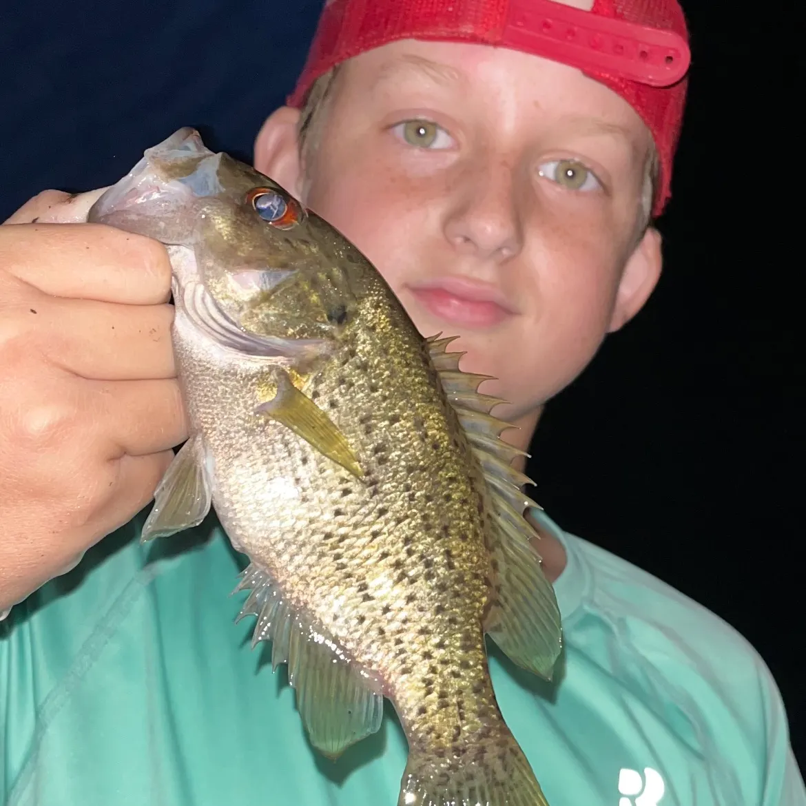 Rock bass caught on Fishbrain
