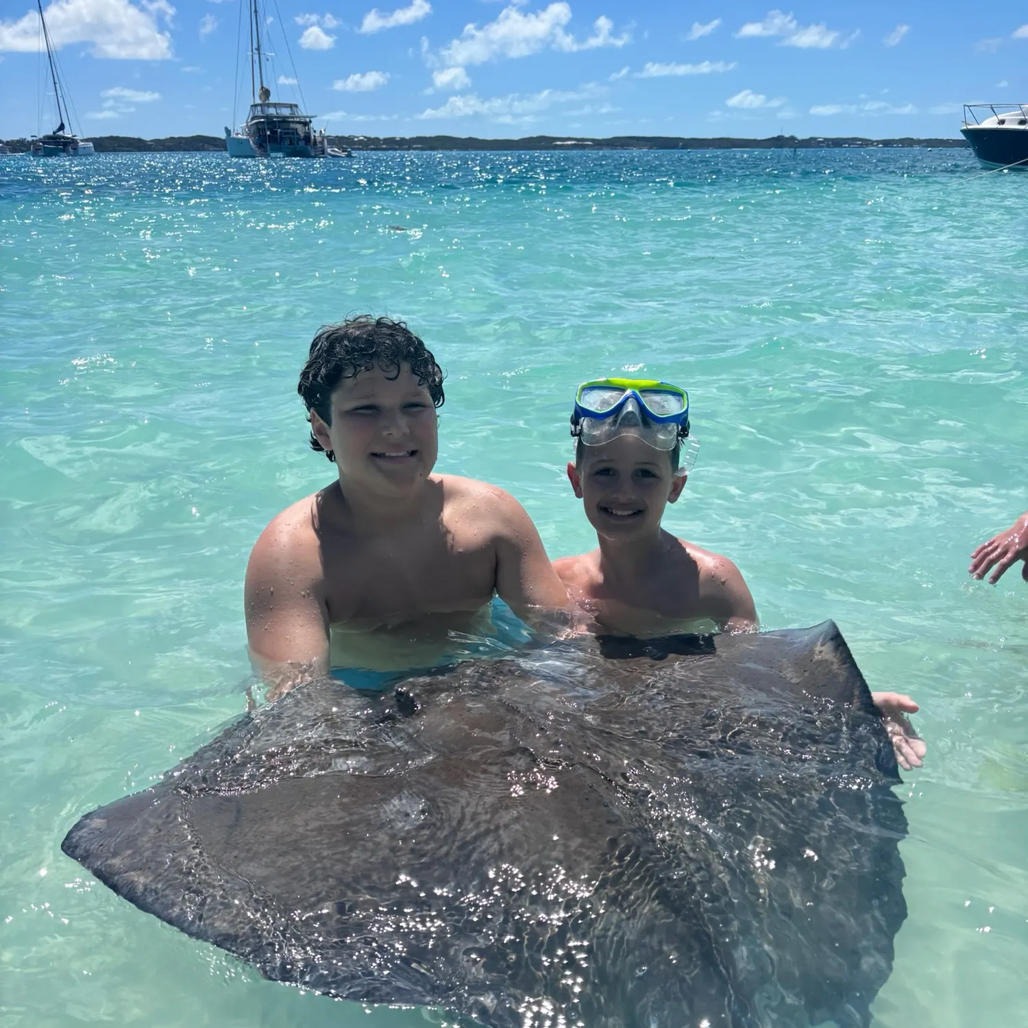Fish caught on Fishbrain