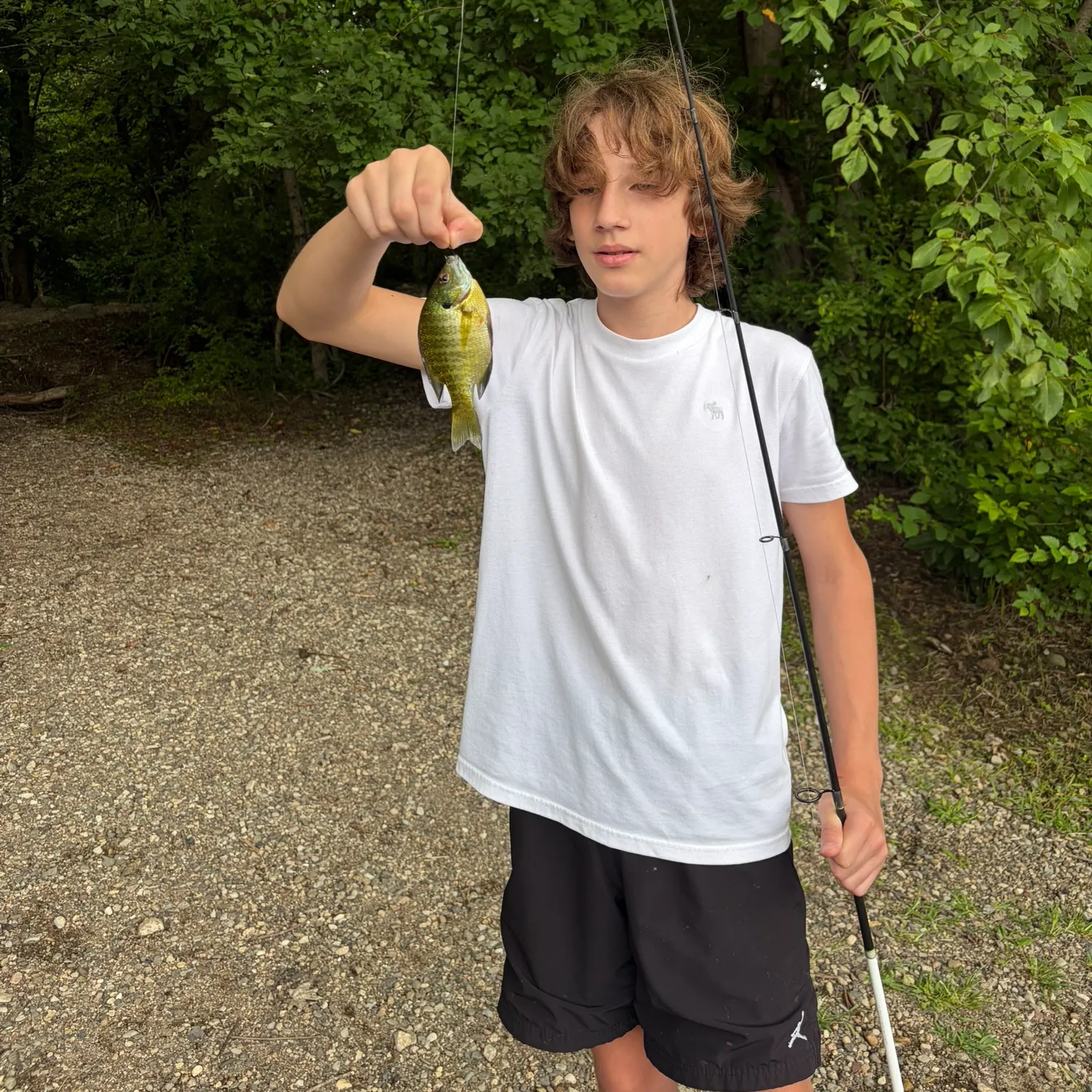 Bluegill caught on Fishbrain