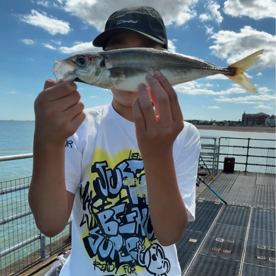The most recent Mackerel scad catches on Fishbrain
