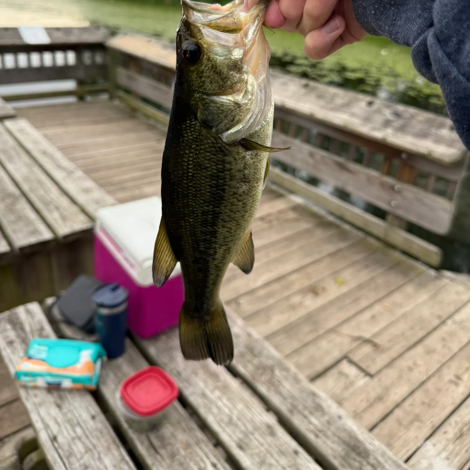 catch