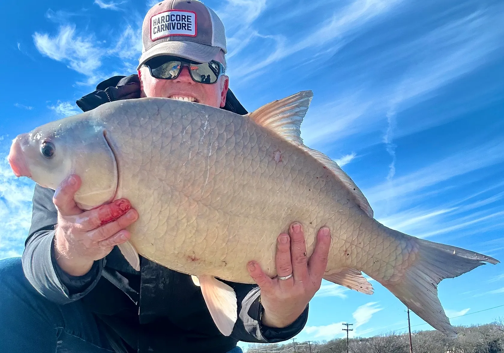 Smallmouth buffalo