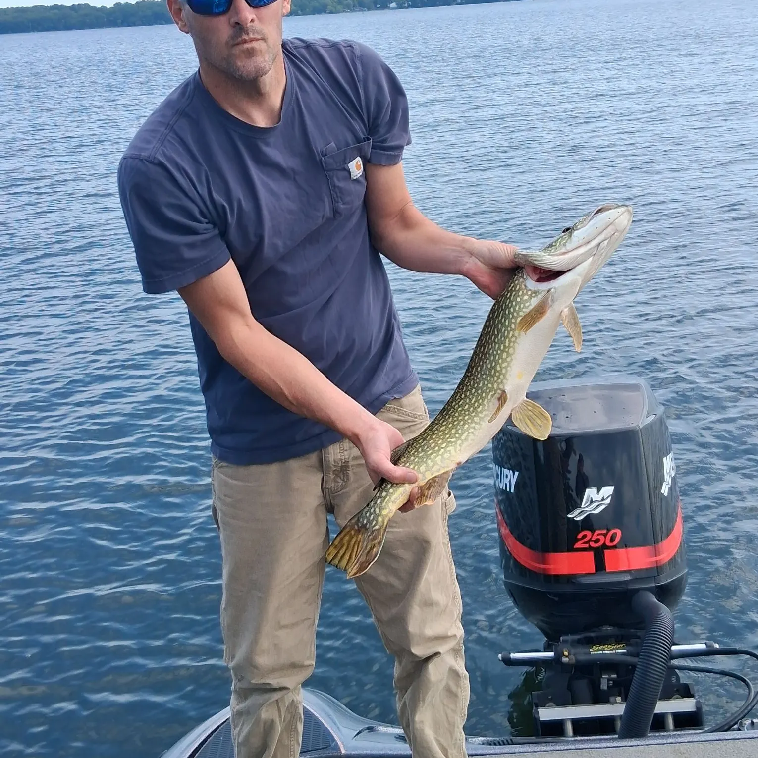 Northern pike caught on Fishbrain