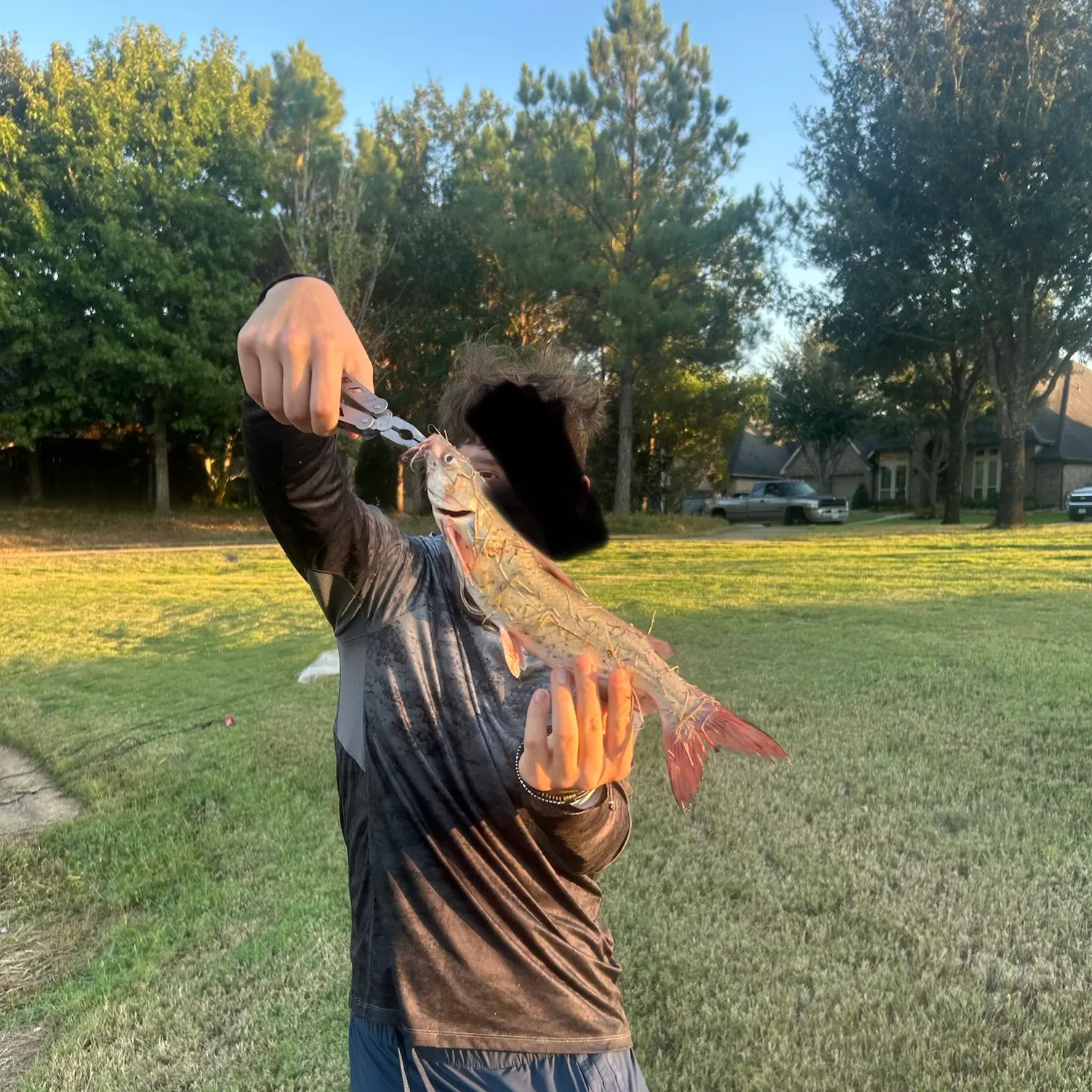 The most recent Channel catfish catches on Fishbrain