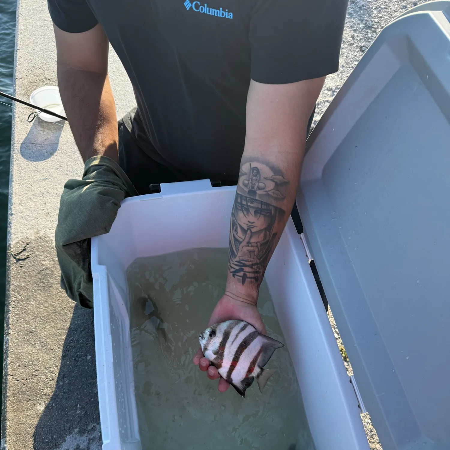 The most recent Atlantic spadefish catches on Fishbrain