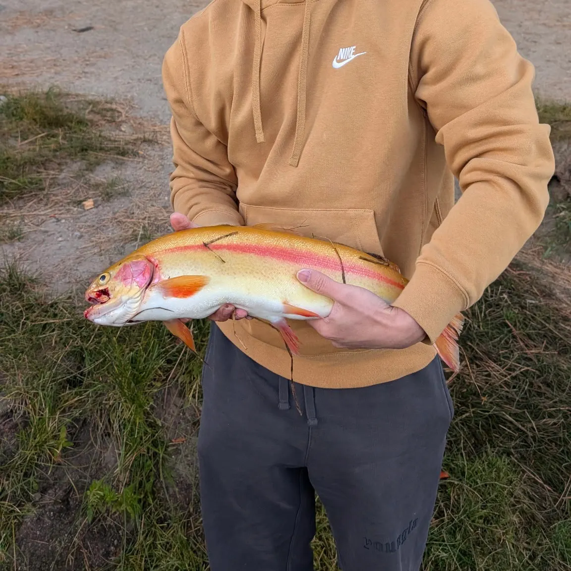 Fish caught on Fishbrain