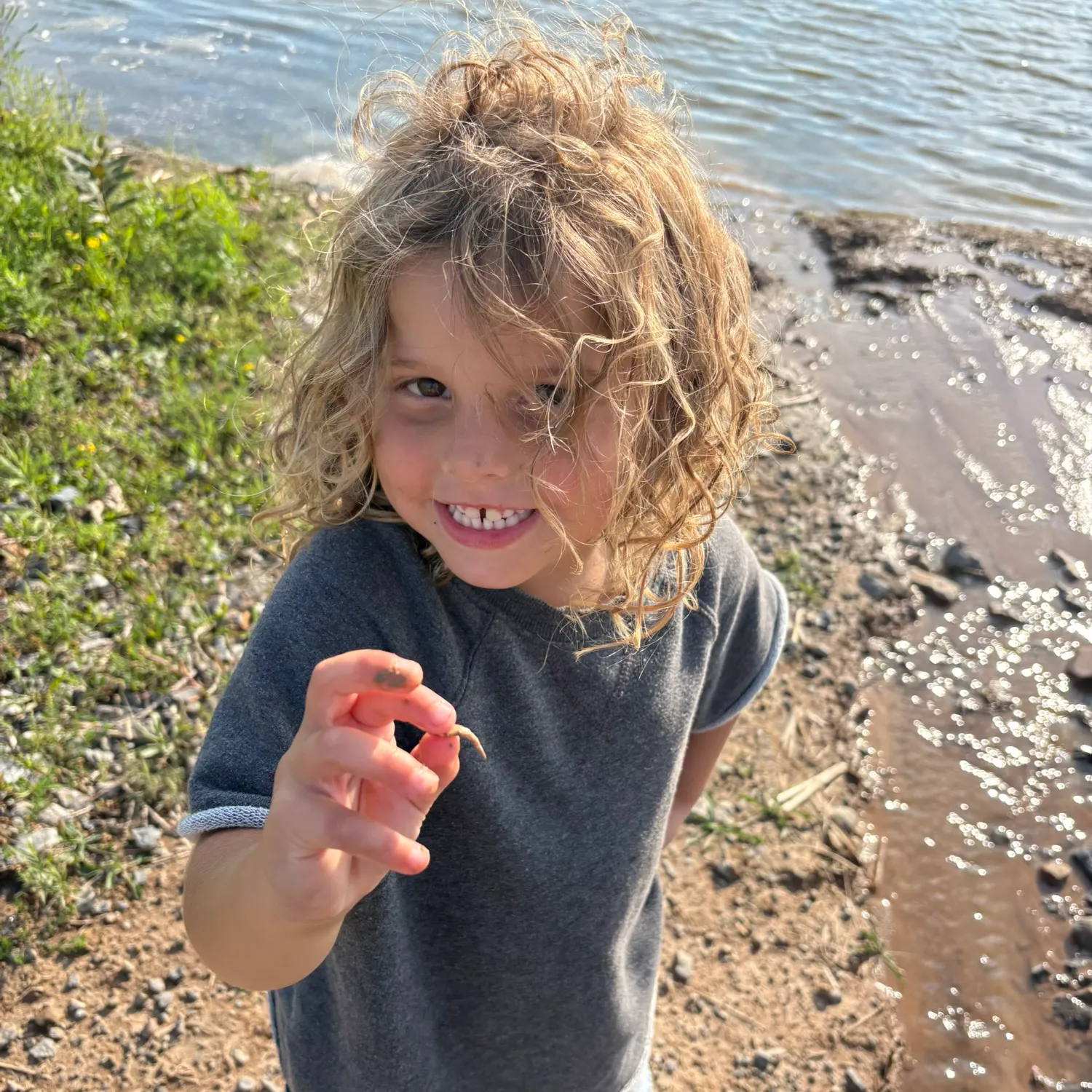 The most recent Eastern silvery minnow catches on Fishbrain