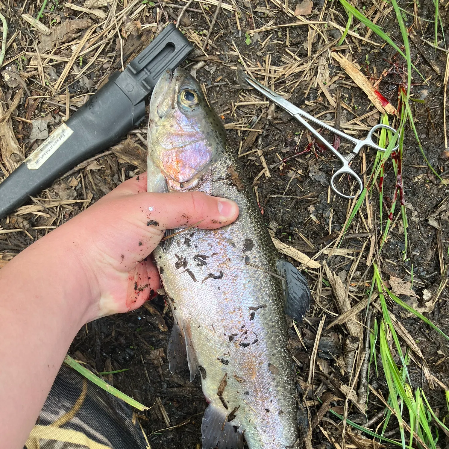 catch