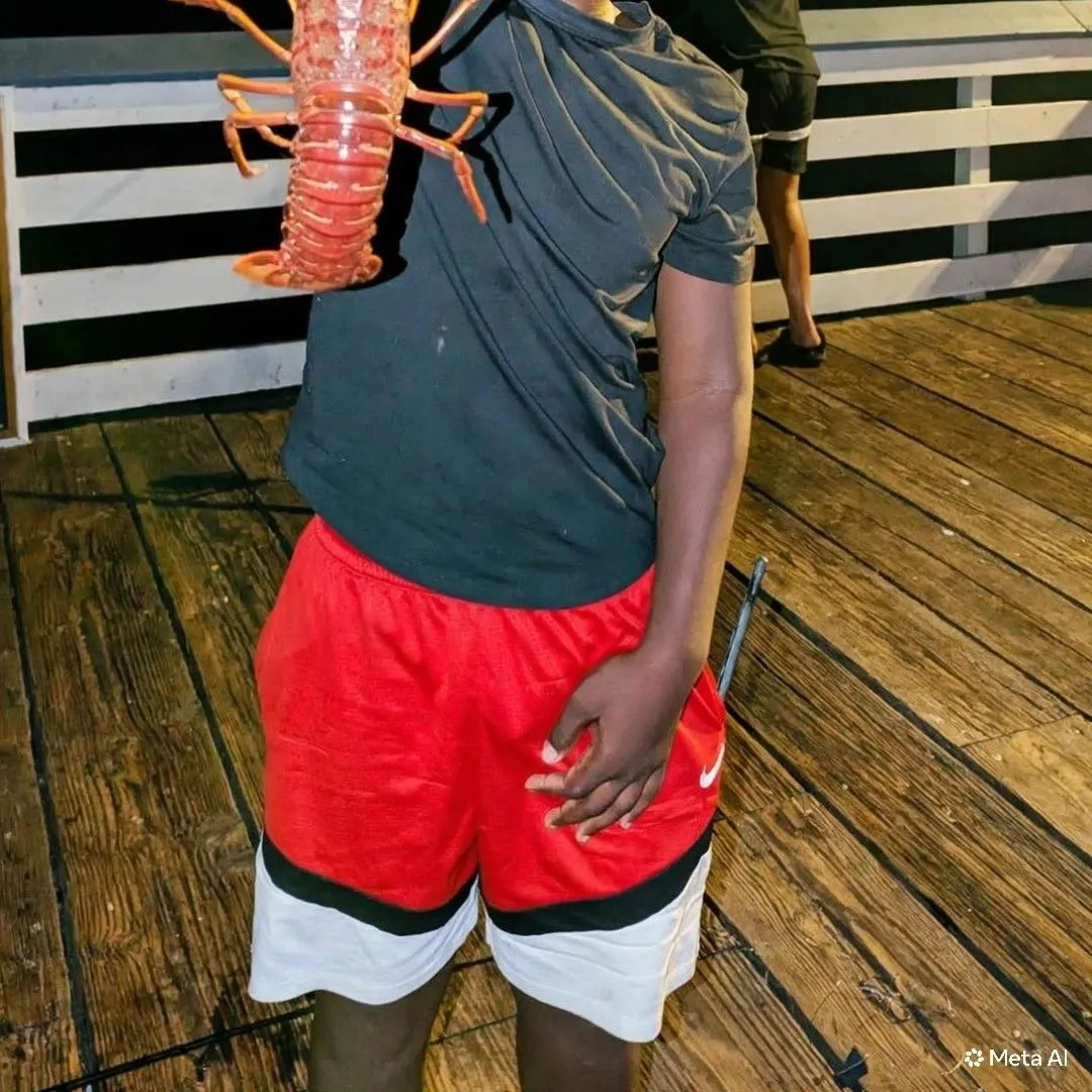 The most recent California spiny lobster catches on Fishbrain