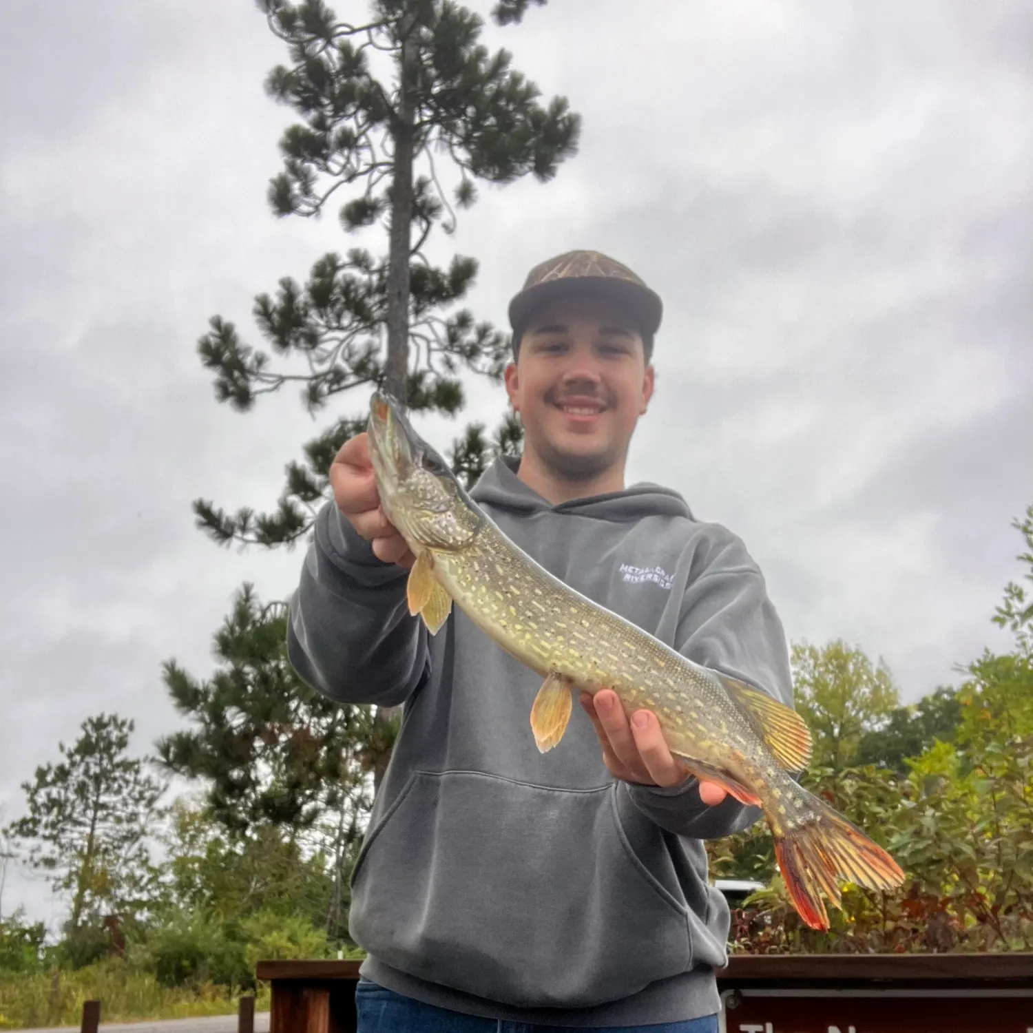 Northern pike caught on Fishbrain