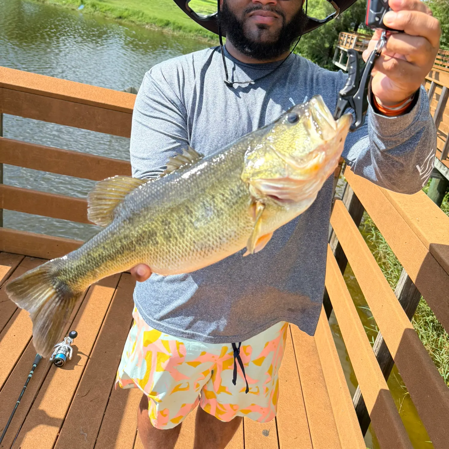 Largemouth bass caught on Fishbrain
