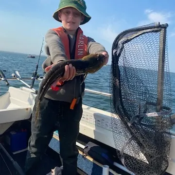 The most recent Rock flathead catches on Fishbrain