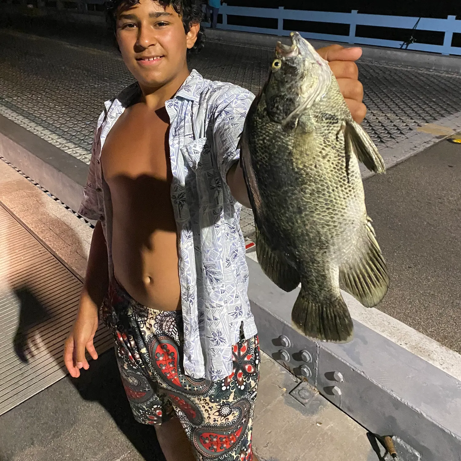 The most recent Atlantic tripletail catches on Fishbrain