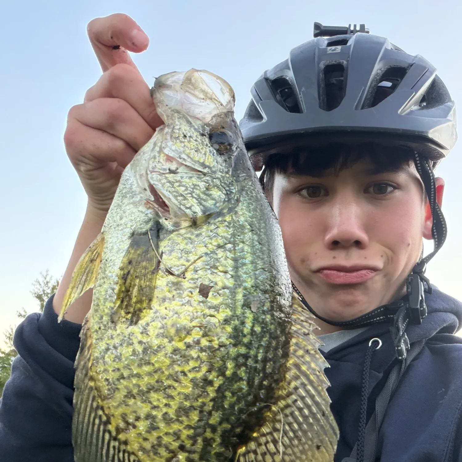 Black crappie caught on Fishbrain