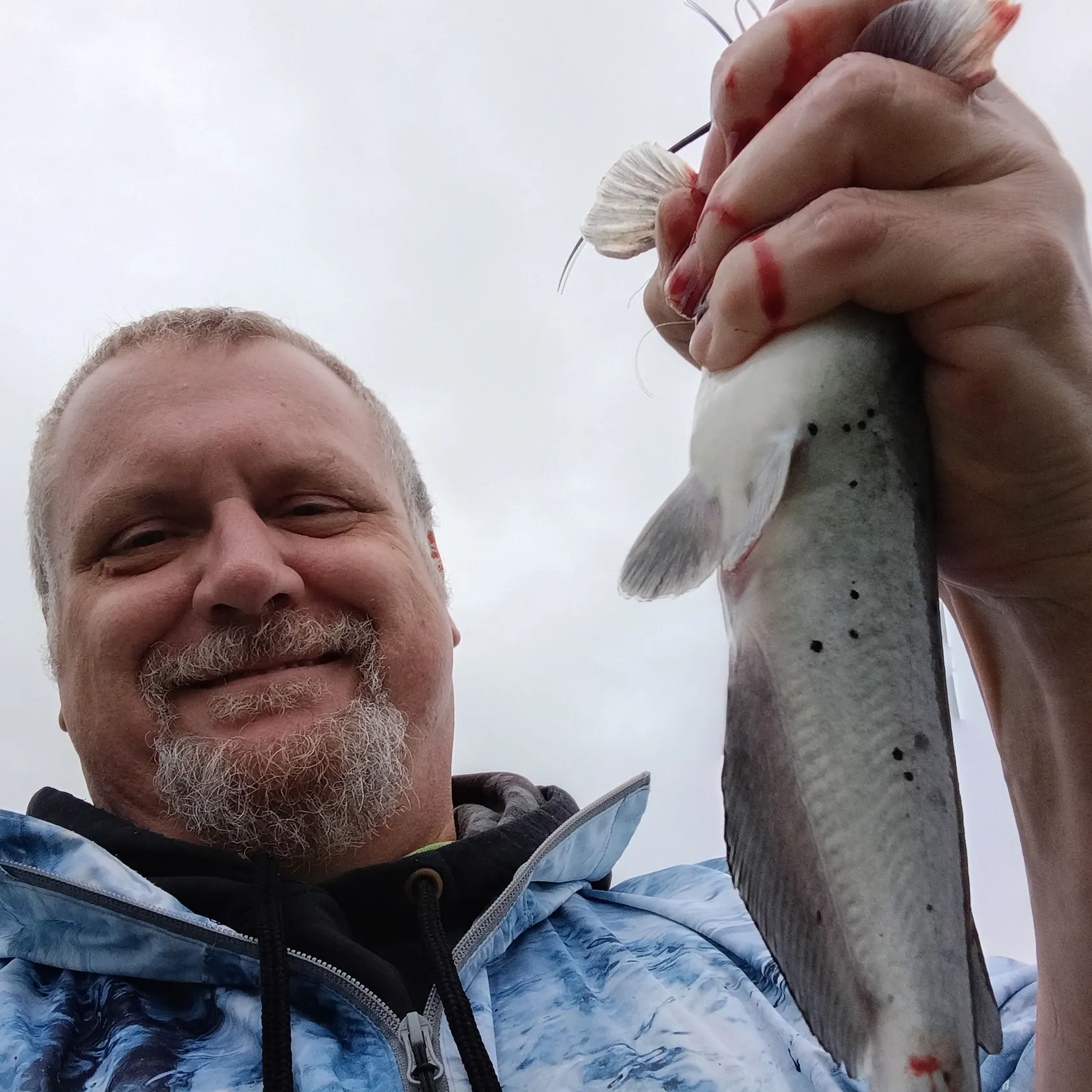 Channel catfish caught on Fishbrain