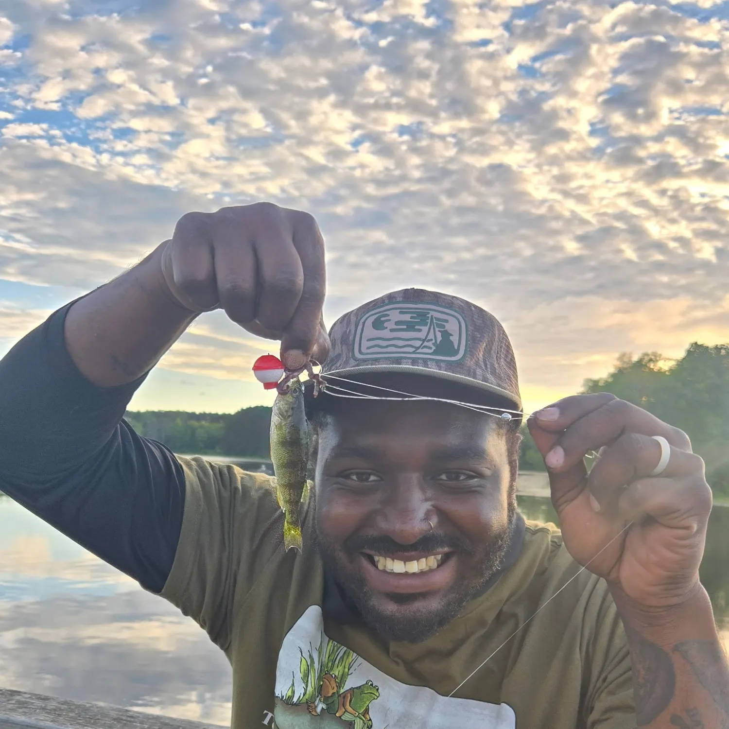 Yellow perch caught on Fishbrain