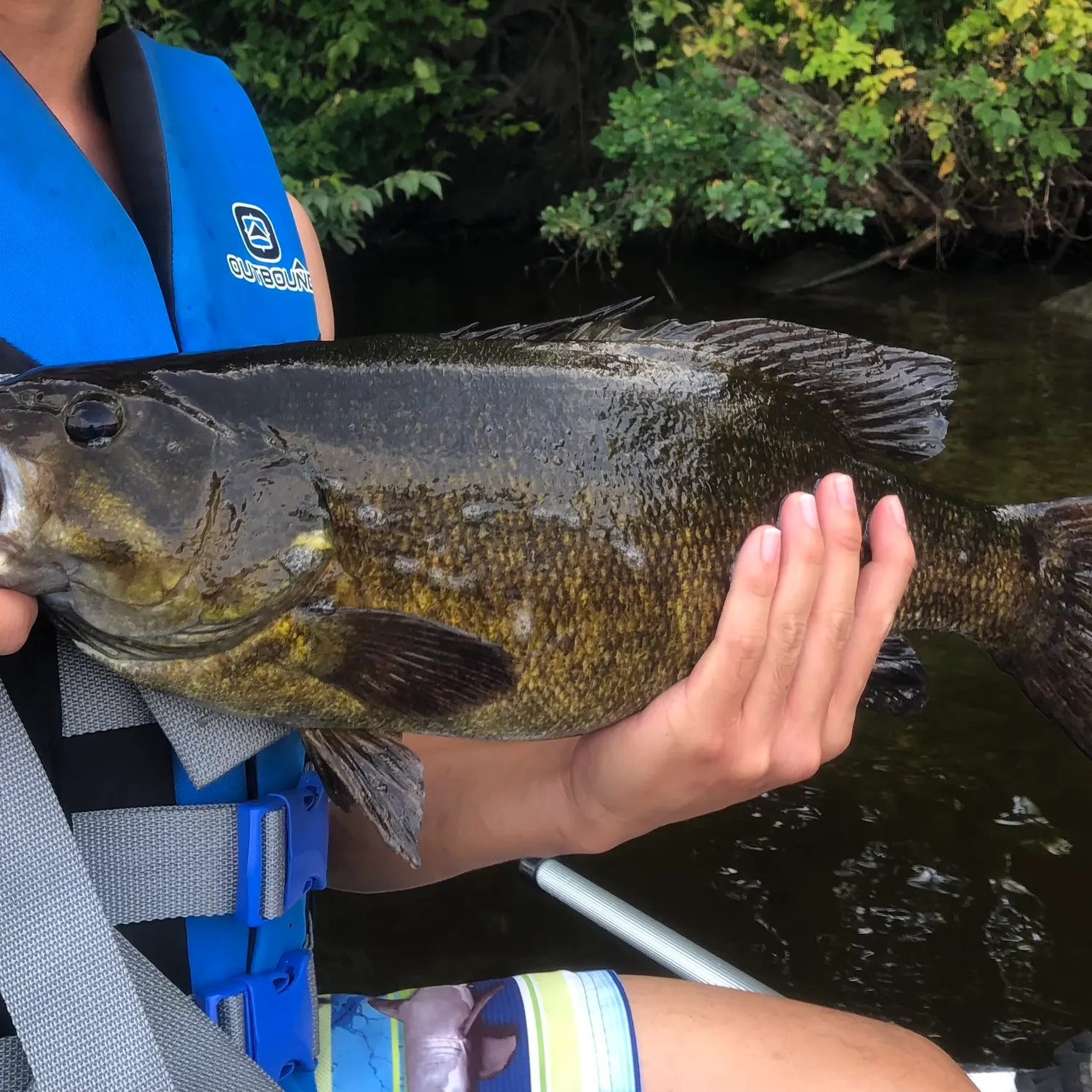 Smallmouth bass caught on Fishbrain