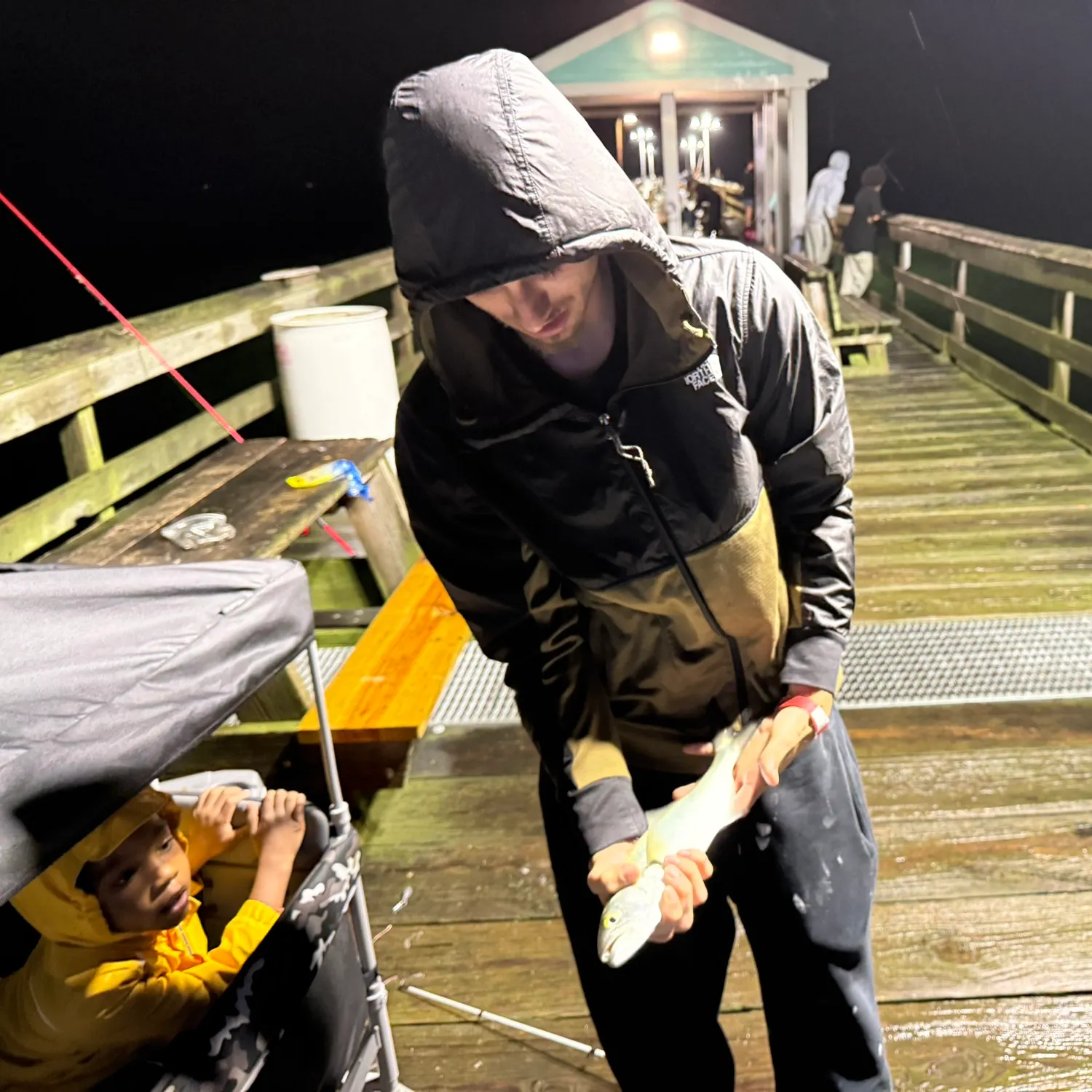 The most recent Bluefish catches on Fishbrain